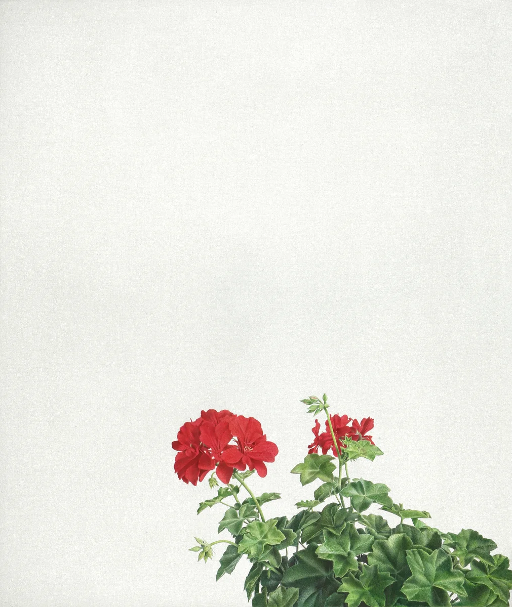 Alfredo Barsuglia, DEZEMBER