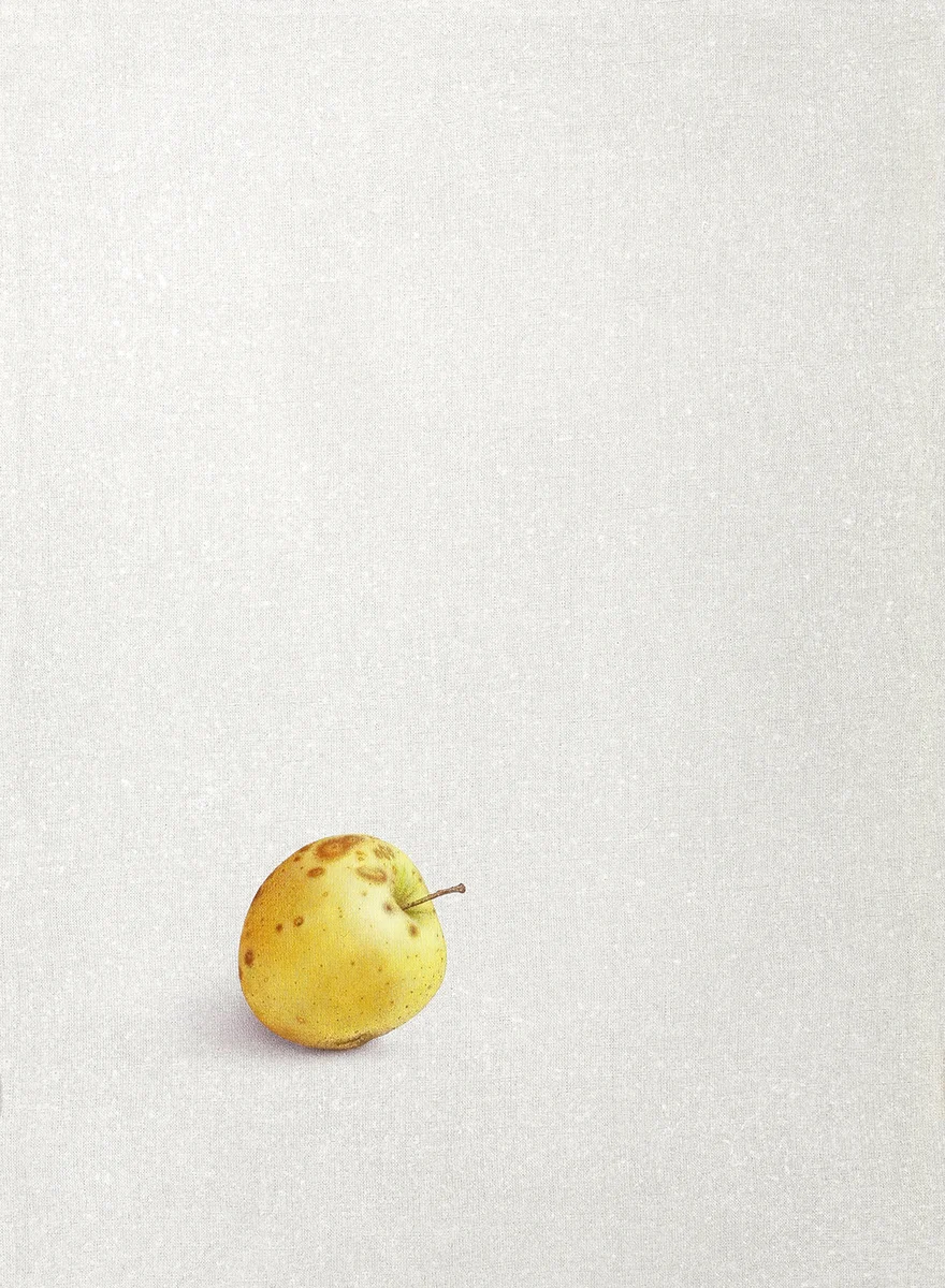 Alfredo Barsuglia, Juni