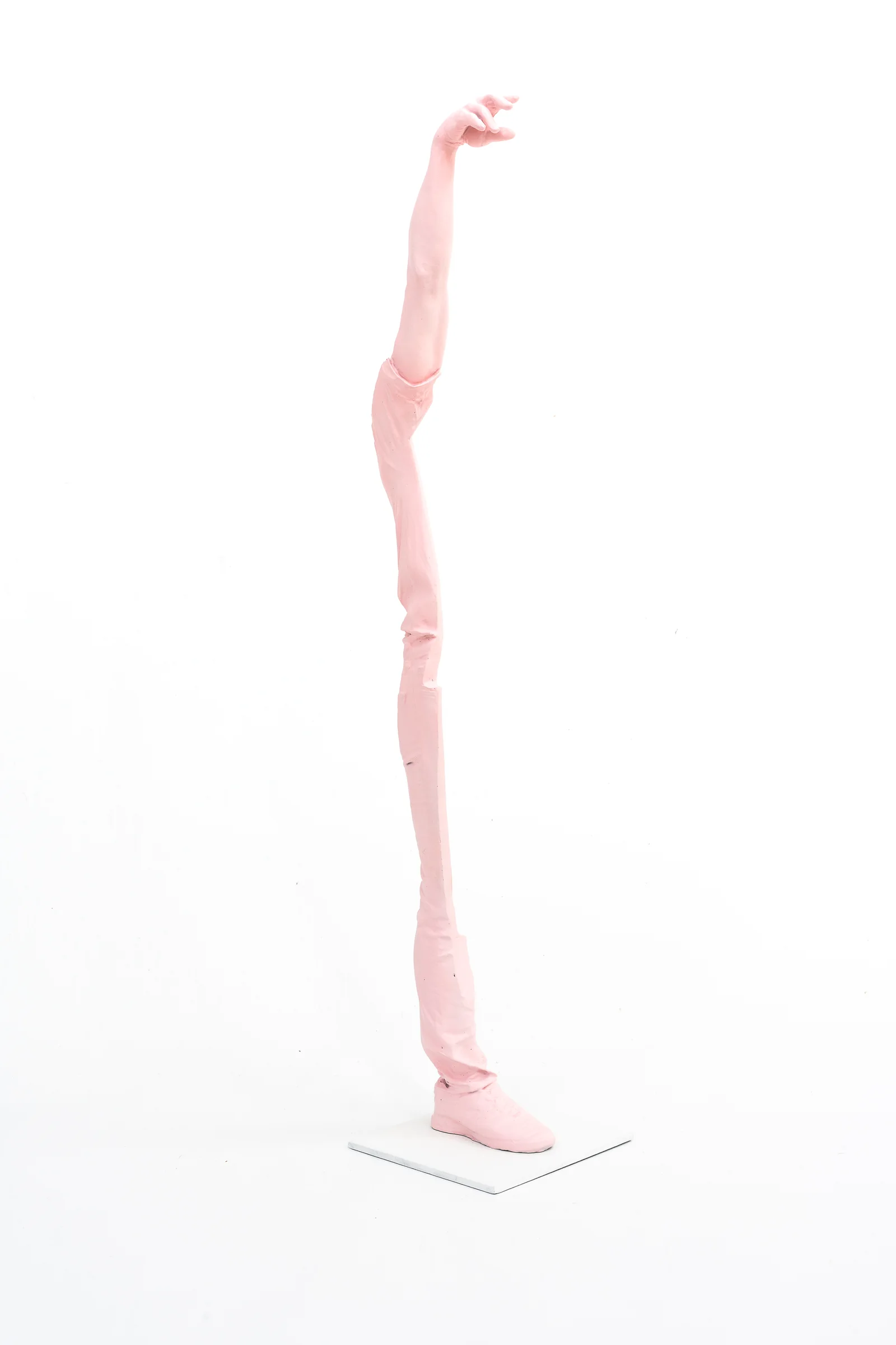 Erwin Wurm, Lars, Arm Lifted