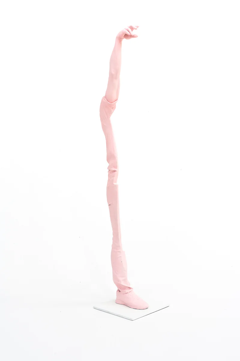 Erwin Wurm, Lars, Arm Lifted